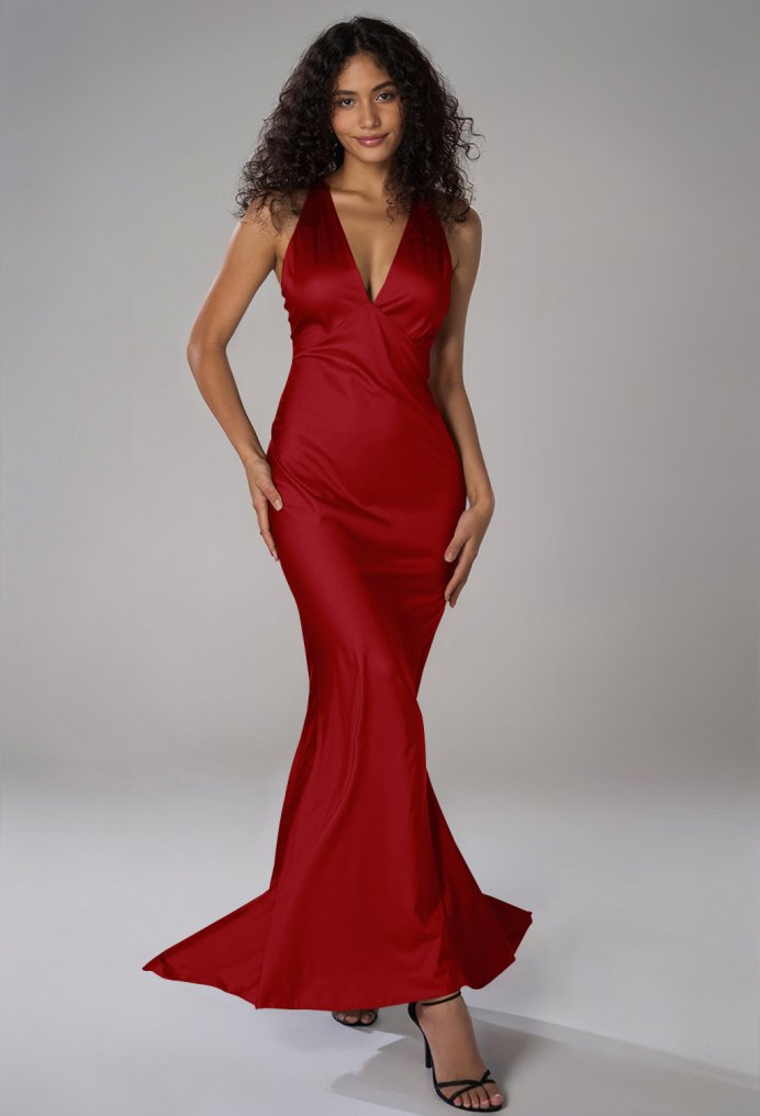 AW Devon Dress